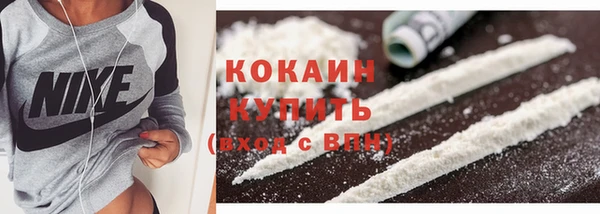 2c-b Бородино