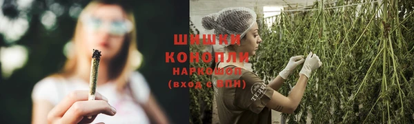 2c-b Бородино
