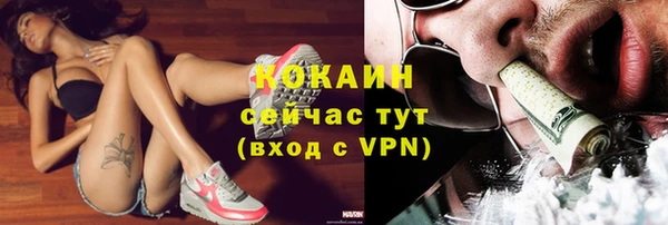 меф Тавда