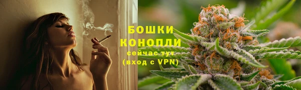 2c-b Бородино