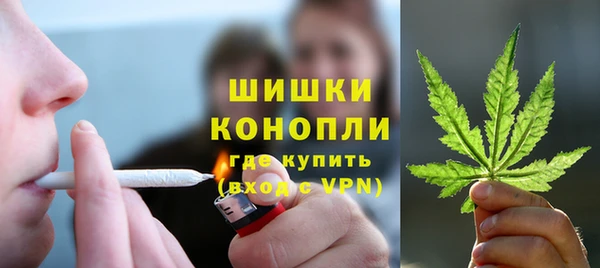 2c-b Бородино