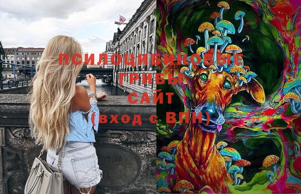 не бодяженный Верхний Тагил