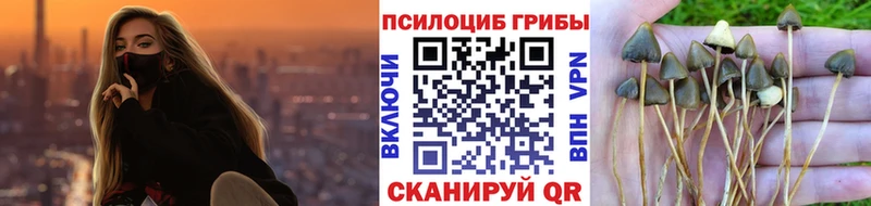 Галлюциногенные грибы мухоморы Мончегорск