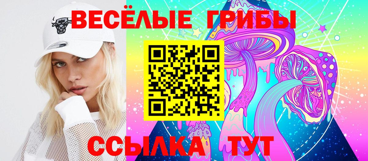 Мончегорск  Галлюциногенные грибы MAGIC MUSHROOMS  Вход с VPN 